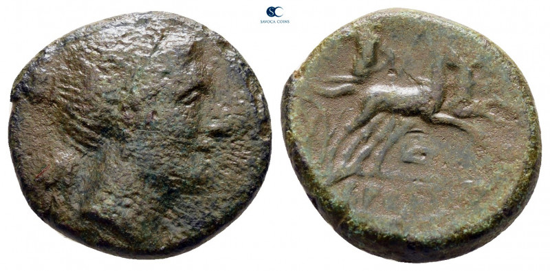 Bruttium. The Brettii circa 211-208 BC. 
Half Unit Æ

16 mm, 3,30 g



ne...