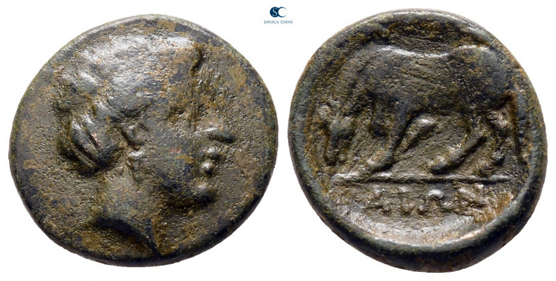 Thessaly. Larissa circa 380-300 BC. 
Bronze Æ

15 mm, 2,29 g



nearly ve...