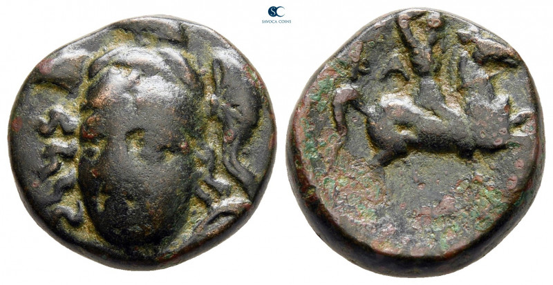 Thessaly. Pharsalos circa 300-250 BC. 
Bronze Æ

17 mm, 5,77 g



very fi...