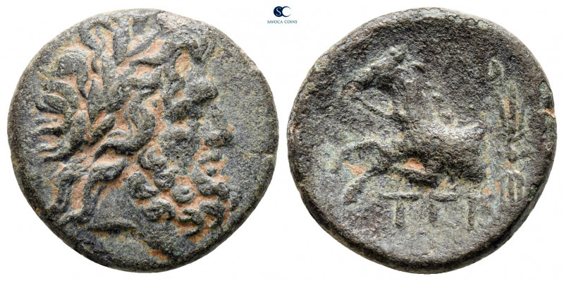 Pisidia. Termessos Major circa 100-0 BC. 
Bronze Æ

19 mm, 4,44 g



near...