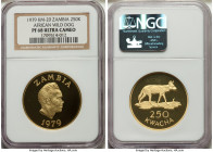 Republic gold Proof "African Wild Dog" 250 Kwacha 1979 PR68 Ultra Cameo NGC, KM20. Mintage: 245. Conservation series. AGW 0.9731 oz. 

HID09801242017
...