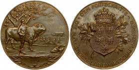 Austria Medal 1934 The Progress. N. Ö. Land Chamber of Agriculture. Bronze. Weight approx: 58.49 g. Diameter: 55 mm.