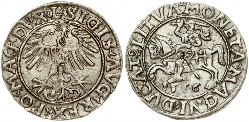 Lithuania 1/2 Grosz 1556 Vilnius. Sigismund II Augustus (1545-1572). Obverse: Ea...