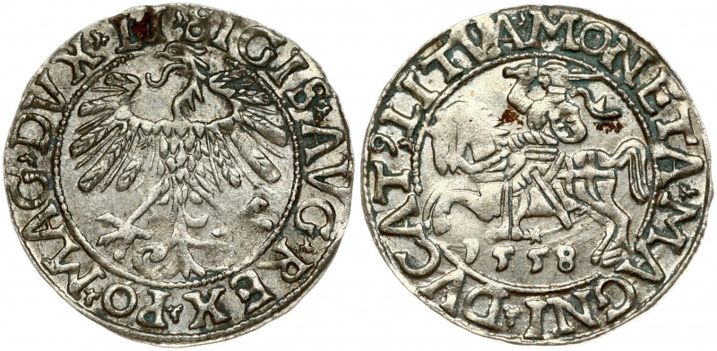 Lithuania 1/2 Grosz 1558 Vilnius. Sigismund II Augustus (1545-1572). Obverse: Ea...