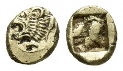IONIA. Phokaia. EL 1/24 Stater (Circa 625/0-522 BC). (7.3mm, 0.7g) Obv: Head of roaring lion left. Rev: Incuse square punch.