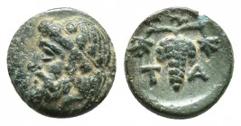 Aiolis, Temnos Æ 10.2mm, 1g Circa 3rd century BC. Bearded head of Dionysos to left, wreathed with ivy / Bunch of grapes; T-A across fields.