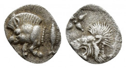 Mysia. Kyzikos circa 480 BC. Hemiobol AR (9.5mm, 0,3g) Forepart of boar to left, to right, tunny fish swimming upwards / Head of lion to left within i...