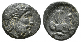 Mysia. Adramytteion 350-300 BC. Æ 15.3mm., 3.4g. Laureate head of Zeus right / forepart of Pegasos right, grain ear below.