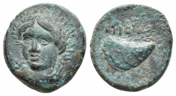 AEOLIS. Gyrneion. Ae (4th century BC). (18.2mm, 5.2 g) Obv: Laureate head of Apollo facing slightly left. Rev: ΓYPNHΩN. Mussel shell.