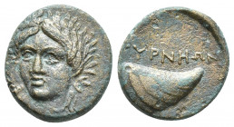 AEOLIS. Gyrneion. Ae (4th century BC). (15.7mm, 3.7 g) Obv: Laureate head of Apollo facing slightly left. Rev: ΓYPNHΩN. Mussel shell.