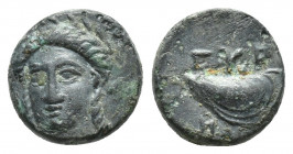 AEOLIS. Gyrneion. Ae (4th century BC). (10.8mm, 1.6 g) Obv: Laureate head of Apollo facing slightly left. Rev: ΓYP / NH. Mussel shell.