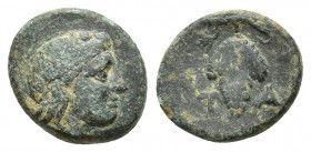 AEOLIS, Temnos. 3rd century BC. Æ (12.2mm, 1.3 g). Bearded head of Dionysos right, wearing ivy wreath / Grape bunch on vine. T A
