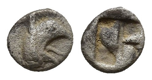 IONIA. Teos. Tetartemorion (Circa 500-475 BC). (5.8mm, 0.4g) Obv: Head of griffi...