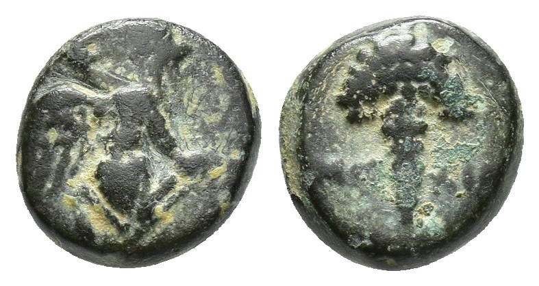 IONIA. Teos. Ae (Circa 300-30 BC). (10mm, 2.1g ) Obv: Griffin seated right, rais...