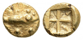 Greek
MYSIA, Kyzikos (Circa 600-550 BC) 
EL Myshemihekte – Twenty-fourth Stater (7.2mm, 0.67g)
Obv: Head of tunny right; pellets around.
Rev: Quadripa...