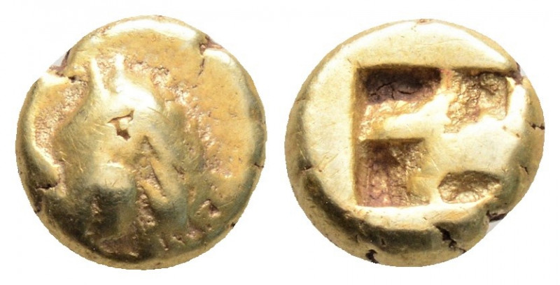 Greek
MYSIA, Kyzikos (Circa 550-500 BC)
EL Hemihekte (8mm, 1.35g)
Obv: Head of b...