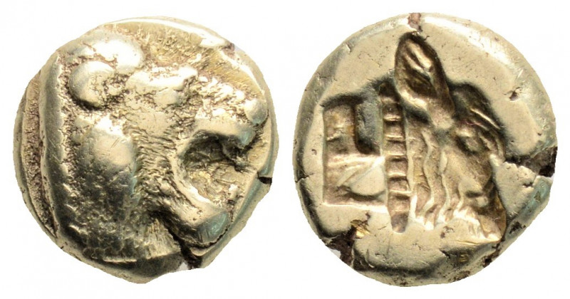 Greek
LESBOS, Mytilene, (Circa 521-478 BC)
EL Hekte(10mm 2.5g) 
Obv: Head of roa...