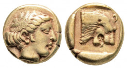 Greek
LESBOS, Mytilene (Circa 454-428/7 BC)
EL Hekte (10.7mm, 2.45g)
Obv: Head of Persephone right.
Rev: Head of lion right within incuse square. 
Bod...