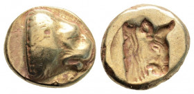 Greek
LESBOS, Mytilene. (Circa 478-455 BC) 
EL Hekte (11mm, 2.52 g, 4h)
Obv: Head of lion right; ΛE below 
Rev: Incuse head of bull right. 
Bodenstedt...