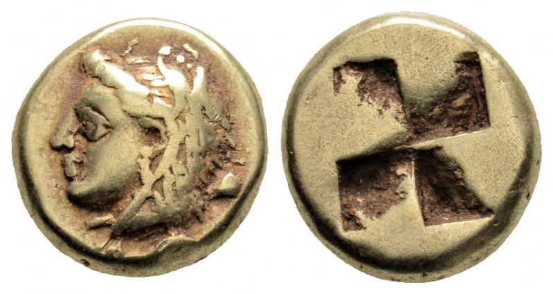 Greek
IONIA. Phokaia. (Circa 387-326 BC) 
EL Hekte (10.5 mm, 2.52g)
Obv:Head of ...