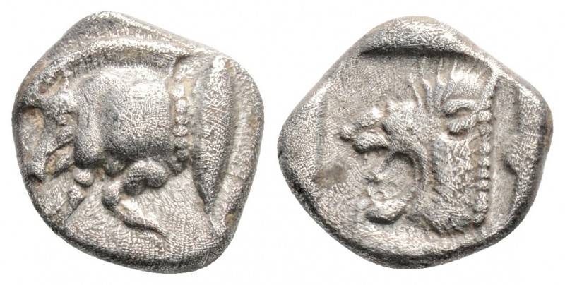 Greek
MYSIA, Kyzikos (Circa 450-400 BC)
AR Diobol (11mm, 1.19g)
Obv: Forepart of...