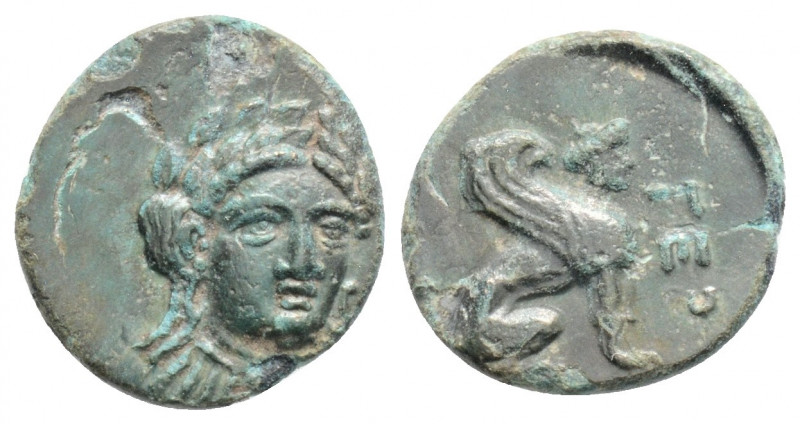 Greek
TROAS, Gergis (Circa 4th century BC)
AE Bronze (12.5mm, 1g)
Obv: Laureate ...