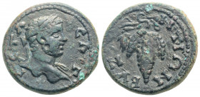 Roman Provincial
THRACE, Byzantium, Geta (198-211 AD)
AE Bronze (22.4mm, 7g)
Obv: Laureate head right.
Rev: BYZANTIΩN, grape bunch.
Varbanov 1824.