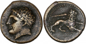 Sicile - Syracuse - Agathokles (317-289 av J.-C.) - Ae - Litra.
A/ ΣΥΡΑΚΟΣΙΩΝ, 
Herakles à gauche portant une tainia.
R/ Lion à droite, au-dessus, une...