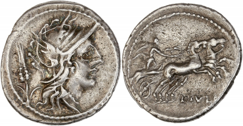 L. Iulius (101 av J.-C.) - Ar - Denier - Rome.
A/ Tête casquée de Rome à droite...