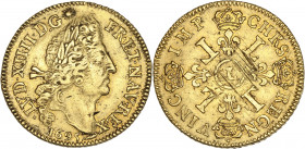 Louis XIV (1643-1715)- Or -Double Louis d'or aux quatre L 1695 L - Bayonne.
A/ LVD XIIII D G FR ET NAV REX 1695,
Louis XIV lauré à droite.
R/ CHRS ...