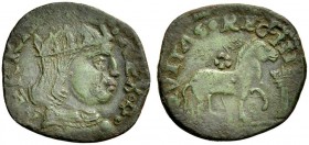 Monete di zecche italiane 
 Brindisi 
 Ferdinando II d’Aragona (Ferrandino), 1495-1496. Cavallo, Æ 1,69 g. FERDINANDVS REX Busto radiato e corazzato...