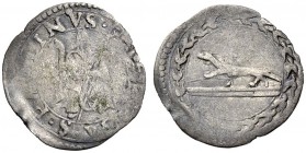 La collezione DPF di monete del Ducato d'Urbino 
 Senigallia 
 Francesco Maria I della Rovere, 1508-1516 e 1521-1538 
 Soldino, AR 0,34 g. S PAVLIN...