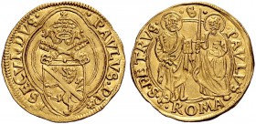 Due interessanti collezioni dei Romani Pontefici
 Zecca di Roma salvo contraria indicazione 
 Paolo II (Pietro Barbo), 1464 - 1471 
 Ducato papale....
