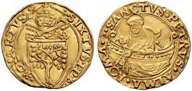 Due interessanti collezioni dei Romani Pontefici
 Zecca di Roma salvo contraria indicazione 
 Sisto IV (Francesco della Rovere), 1471 – 1484 
 Fior...