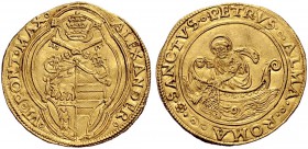 Due interessanti collezioni dei Romani Pontefici
 Zecca di Roma salvo contraria indicazione 
 Alessandro VI (Rodrigo de Borja y Borja), 1492 – 1503 ...
