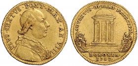 Due interessanti collezioni dei Romani Pontefici
 Zecca di Roma salvo contraria indicazione 
 Pio VI (Giovanni Angelo Braschi), 1775 – 1799 
 Bolog...