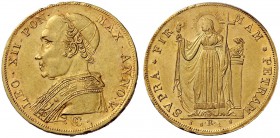 Due interessanti collezioni dei Romani Pontefici
 Zecca di Roma salvo contraria indicazione 
 Leone XII (Annibale Sermattei della Genga), 1823 – 182...