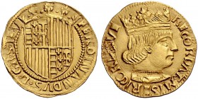 Straordinaria collezione di monete medievali e rinascimentali dell’Italia meridionale e della Sicilia 
 Napoli 
 Ferdinando I d’Aragona, 1458-1494. ...