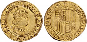 Straordinaria collezione di monete medievali e rinascimentali dell’Italia meridionale e della Sicilia 
 Napoli 
 Emissioni dal 1478 al 1494. 
 Dopp...