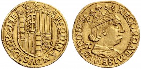 Straordinaria collezione di monete medievali e rinascimentali dell’Italia meridionale e della Sicilia 
 Napoli 
 Emissioni dal 1478 al 1494. 
 Duca...