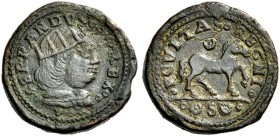 Straordinaria collezione di monete medievali e rinascimentali dell’Italia meridionale e della Sicilia 
 Napoli 
 Emissioni dal 1478 al 1494. 
 Mult...