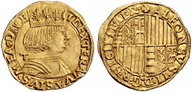 Straordinaria collezione di monete medievali e rinascimentali dell’Italia meridionale e della Sicilia 
 Napoli 
 Alfonso II d’Aragona, 1494-1495. 
...