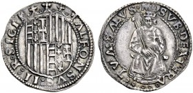 Straordinaria collezione di monete medievali e rinascimentali dell’Italia meridionale e della Sicilia 
 Napoli 
 Alfonso II d’Aragona, 1494-1495. 
...