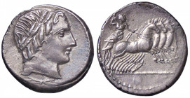 ROMANE REPUBBLICANE - ANONIME - Monete senza il nome del monetiere (143-81a.C.) - Denario B. 226; Cr. 350A/2 (AG g. 3,71)
qSPL