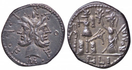 ROMANE REPUBBLICANE - FURIA - M. Furius L. f. Philus (119 a.C.) - Denario B. 18; Cr. 281/1 (AG g. 3,98)
SPL