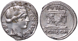 ROMANE REPUBBLICANE - SCRIBONIA - L. Scribonius Libo (62 a.C.) - Denario Cr. 416/1a; Syd. 928 (AG g. 3,95) Segno di lima
 Segno di lima
qSPL