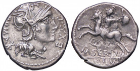 ROMANE REPUBBLICANE - SERGIA - M. Sergius Silus (116-115 a.C.) - Denario B. 1; Cr. 286/1 (AG g. 3,91)
BB+