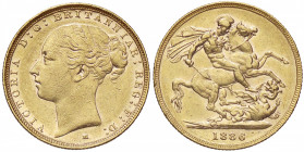 ESTERE - AUSTRALIA - Vittoria (1837-1901) - Sterlina 1886 M - San Giorgio Kr. 7 (AU g. 7,96)
SPL