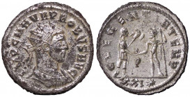 ROMANE IMPERIALI - Probo (276-282) - Antoniniano C. 91 (MI g. 3,69) Buona argentatura
 Buona argentatura
SPL-FDC