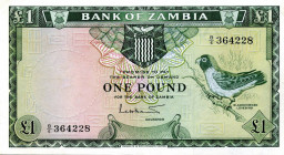 CARTAMONETA ESTERA - ZAMBIA - Repubblica - Sterlina (1964) Pick 2
qSPL